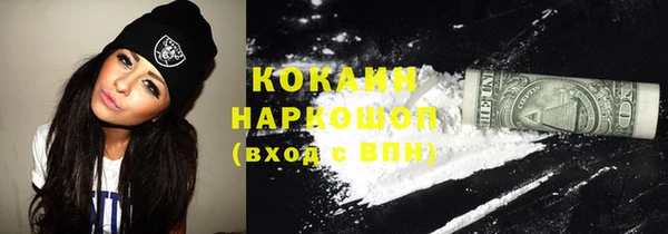 индика Волосово