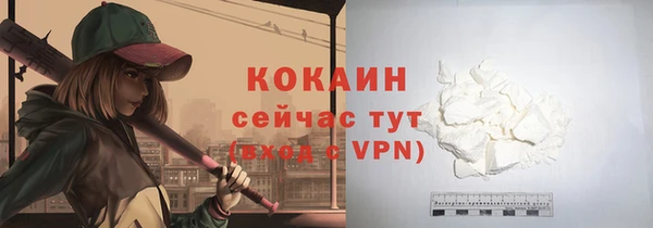 индика Волосово