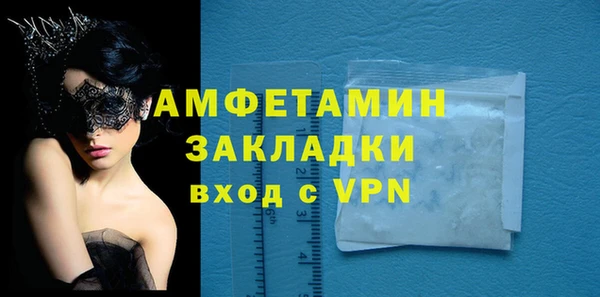 индика Волосово